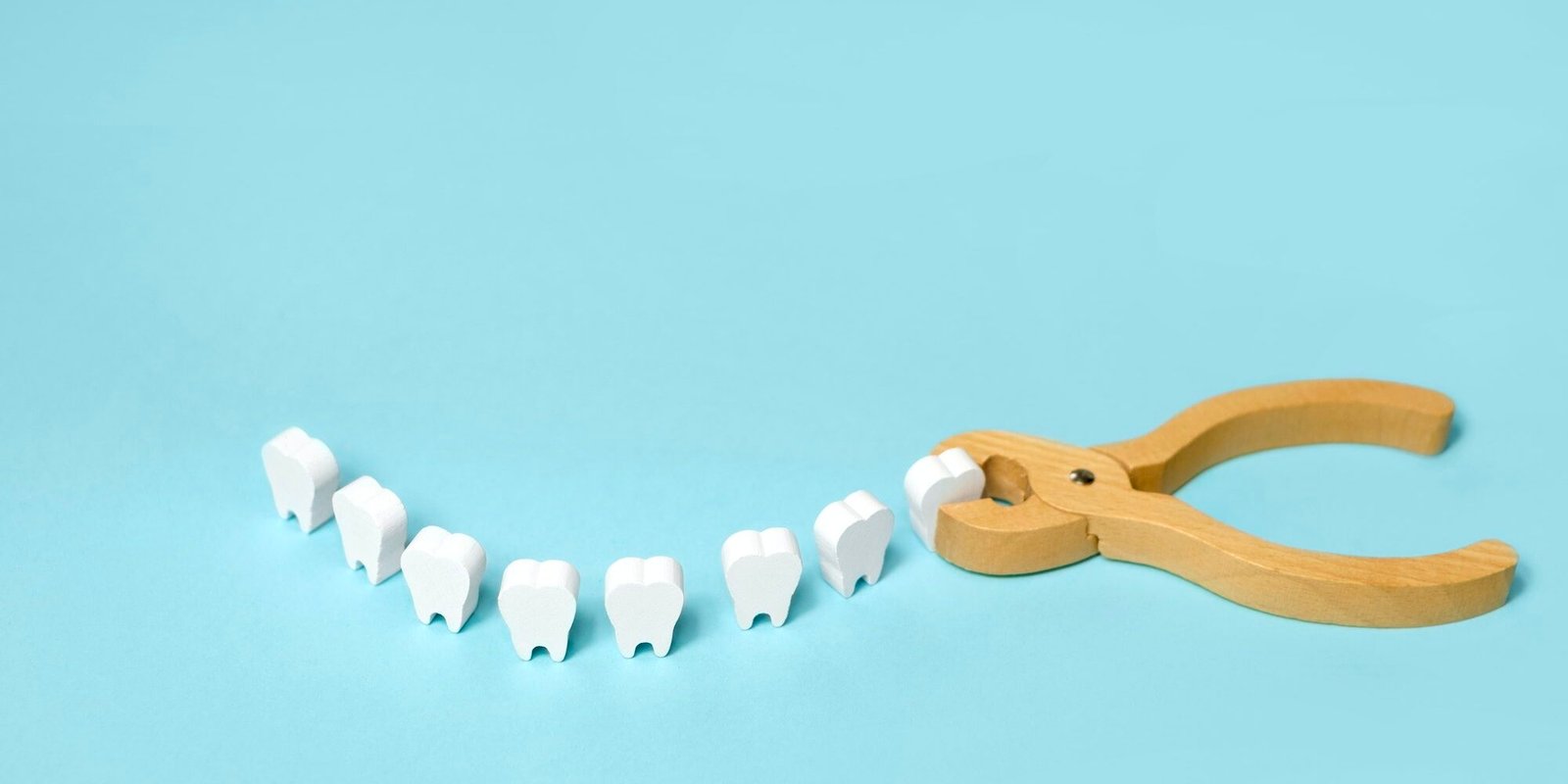 Tooth extraction with a dental instrument with forceps. Tooth extraction with a dental instrument with forceps.
